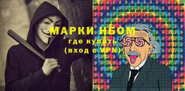 гидра Новодвинск