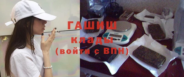 гидра Новодвинск