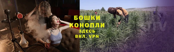 гидра Новодвинск