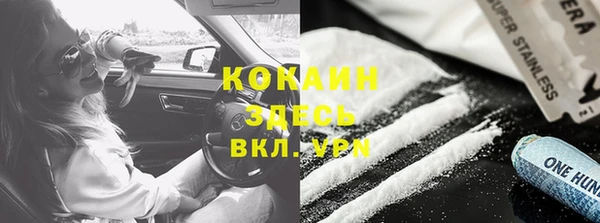 гидра Новодвинск