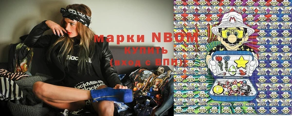 гидра Новодвинск
