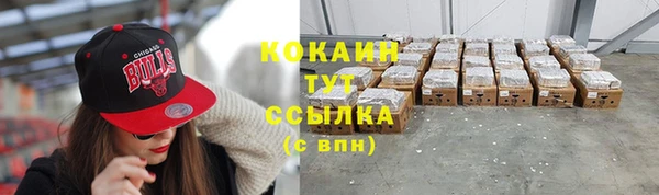 гидра Новодвинск