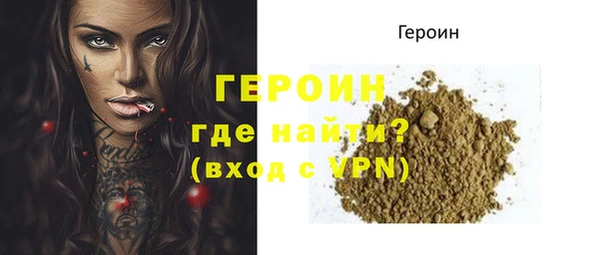 гидра Новодвинск