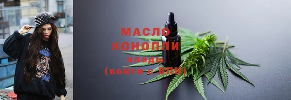 тгк Новозыбков