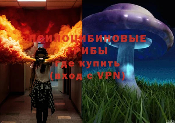 гидра Новодвинск