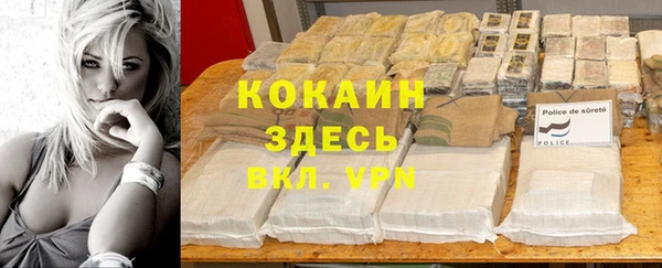 тгк Новозыбков