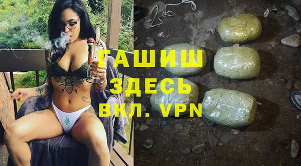 гидра Новодвинск