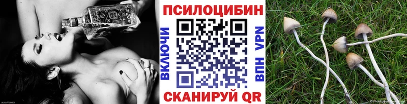 Псилоцибиновые грибы ЛСД  купить наркотики цена  Гурьевск 