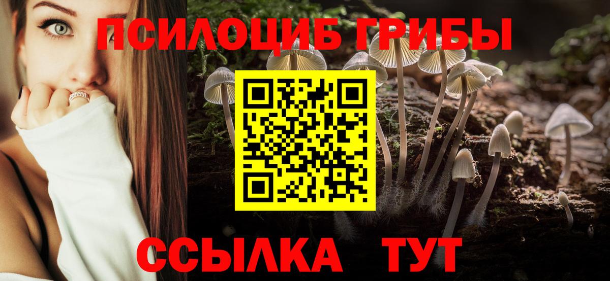 Псилоцибиновые грибы GOLDEN TEACHER  Вход с VPN  хочу наркоту  Галлюциногенные грибы мицелий  Гурьевск 